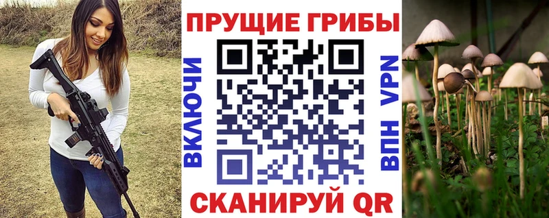 продажа наркотиков  Добрянка  Галлюциногенные грибы GOLDEN TEACHER 